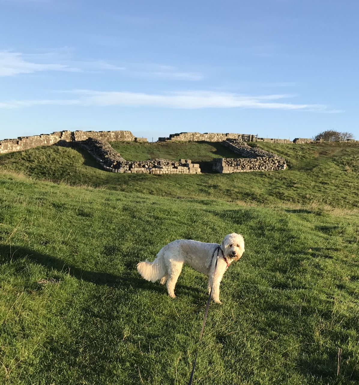 walks at Hadrian's Wall